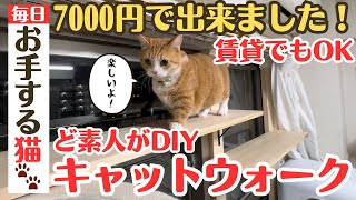 【ど素人DIY】7000円でキャットウォーク手作りました最後に短足マンチがお手するよ