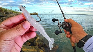 ROBALOS NAS PEDRAS DO MAR COM CAMARÃO ARTIFICIAL - APRENDA NA PRÁTICA - DICAS.