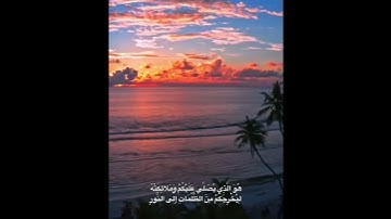 سورة الأحزاب الايه [41-42-43-44] #تيك_توك #متابعه #حالات_واتس