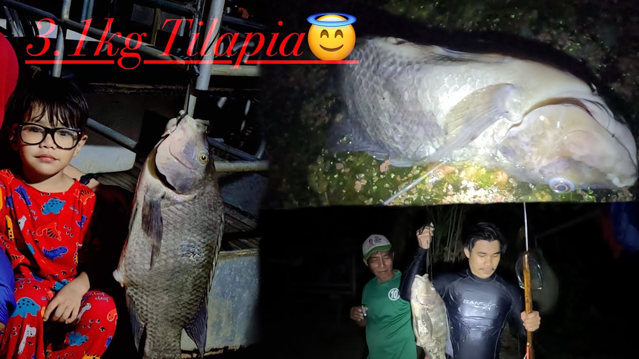 Episode 1 | night spearfishing Batangas Philippines |3.1 kg Tilapia ...