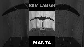 R&amp;M LAB GH manta#shrots #diy #rmlabgh #maker #electronic #diyelectronics