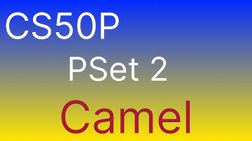 CS50P Problem Set 2 camelCase 2024