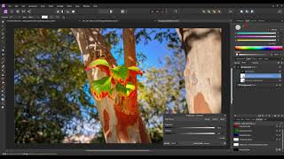 Celebrity Affinity Photo Radial Gradient Mask Profile