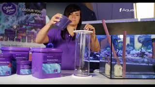 AquaForest Phosphate Minus 磷酸鹽吸附劑 繁體中文字幕版