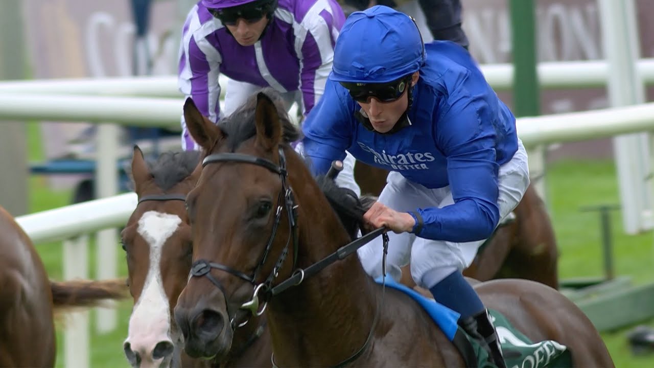 BUYING A CHAMPION Anthony Stroud chats Native Trail YouTube