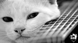 Eb Davis Blues Band - What You Gonna Do