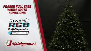 Dynamic RGBWW Fraser Full Tree Warm White with Pure White Flash by Holidynamics, Inc. screenshot 4
