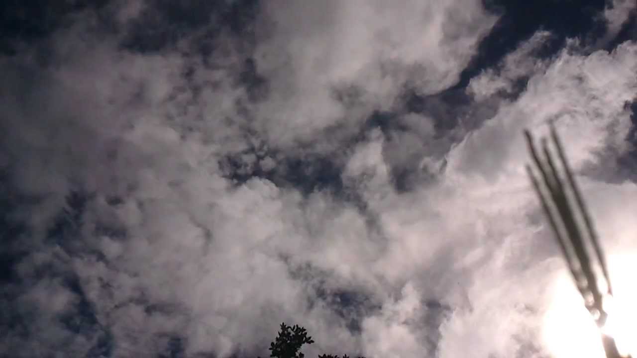 Asmr sun and wind through the grass in to the clowds asmr