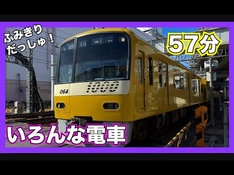 踏ん張り方を見習い中(茶トラ) 踏ん張り方を見習い中(茶トラ) 踏ん張り方を見習い中(茶トラ