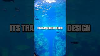 The Extraordinary Underwater Bridge of Håkanström