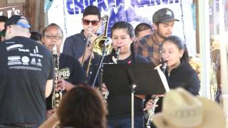 anthropos arts live at mad tiger festival