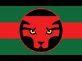 Wakandan Review
