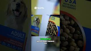 Amazon  Перестройка бизнеса в маркетплейс  #мышление #бизнес #прибыльныйбизнес #бизнесснуля