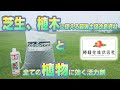 【販売開始】そのまま目土としても使えます!リボサンド、HB101その効果や使い方を説明します!オンラインショップ開設しました!芝にも、植木にもどうぞ!