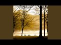 Tranquil Echoes in Silence 2