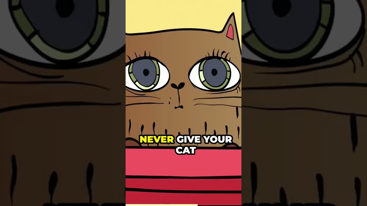 Cats Have Sensitive Stomachs, Fun Facts About Cats 13 /  