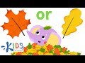 Sorting and Describing Leaves