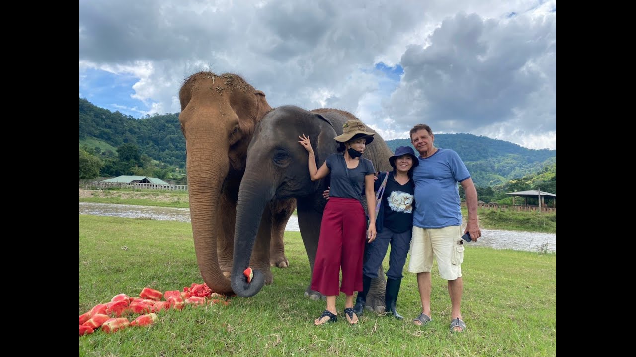 Save Elephant Foundation, Chiang Mai, Thailand