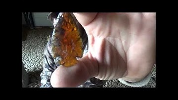 Beginner Flint Knapping Making a Point Part 5