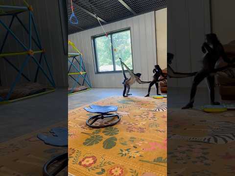 Well…Keke The Spider Monkey definitely took it past first base🤣