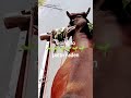 😂😂😂😂😂😂😂😂😂...... erabhulnahijanare #song #sarbebhabantusukhinah #funny #vlogs