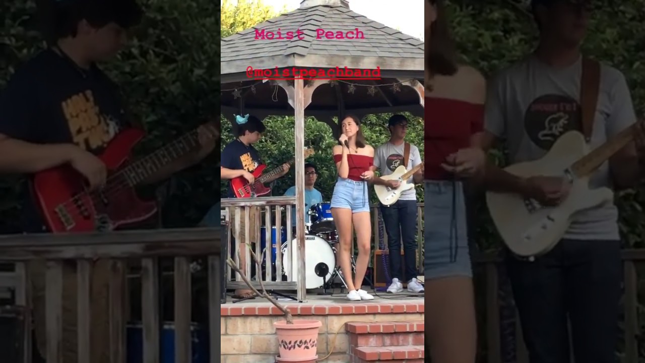 Moist Peach Band - Good Times (Sugarhill Gang Cover)