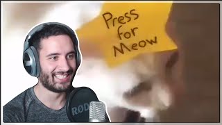 NymN reacts to UNUSUAL MEMES COMPILATION V97