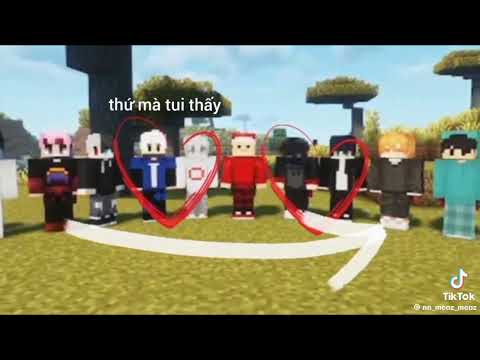 Tổng Hợp OTP Tik Tok về MeGa SMP