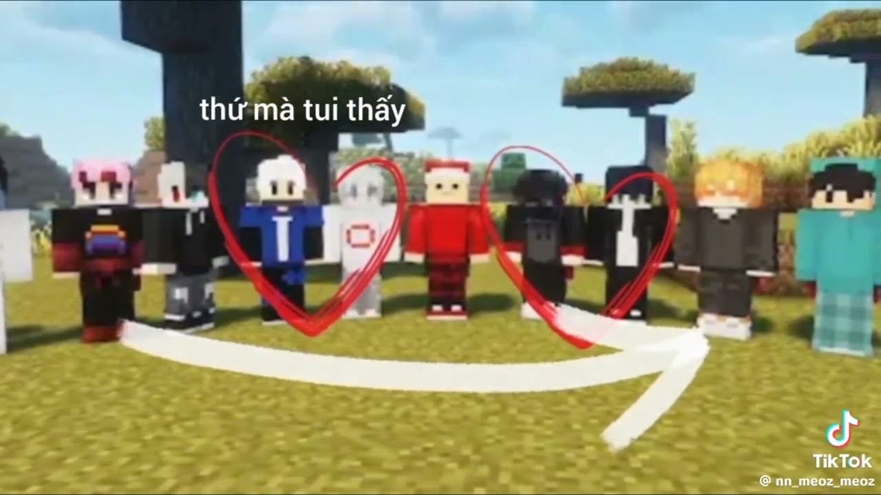 Tổng Hợp OTP Tik Tok về MeGa SMP