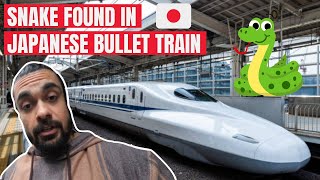 Japan Ke Bullet Train Me Nikala साँप | Indian In japan | Ankit Purohit