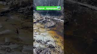 Природа #4x4 #поселок #automobile