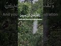 Islamic Shorts #Quranic verse #Quran Recitation #ytshortsviral #nature #rain