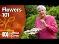 Flowers 101 An Introduction To Identifying Plants By Their Inflorescence Gardening Australia
