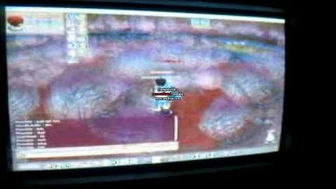 FLYFF 1V1 BillPoster