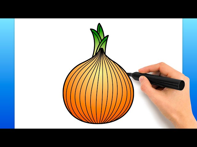 Spring Onion Simple Draw Onion Easy Drawing