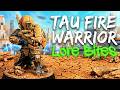 Your Life As A T'au Fire Warrior l Warhammer 40k Lore Explained