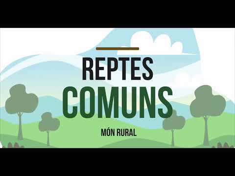 Vídeo: Àrees rurals: definició, gestió i perspectives de desenvolupament