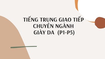 Tiếng trung giao tiếp chủ đề  Giày Da P1-P5