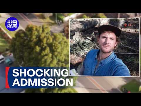 Man admits to bludgeoning stranger to death with a brick | 9 News Australia
