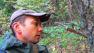 ПОИСК С МЕТАЛЛОИСКАТЕЛЕМ в ГЛУБИНЕ ЛЕСА ... СТРАННЫЕ НАХОДКИ ПОИСК С МЕТАЛЛОИСКАТЕЛЕМ в ГЛУБИНЕ ЛЕСА ... СТРАННЫЕ НАХОДКИ