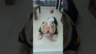 POLAR YA SABE POR QUÉ NO TENGO NOVIA…  😭💔