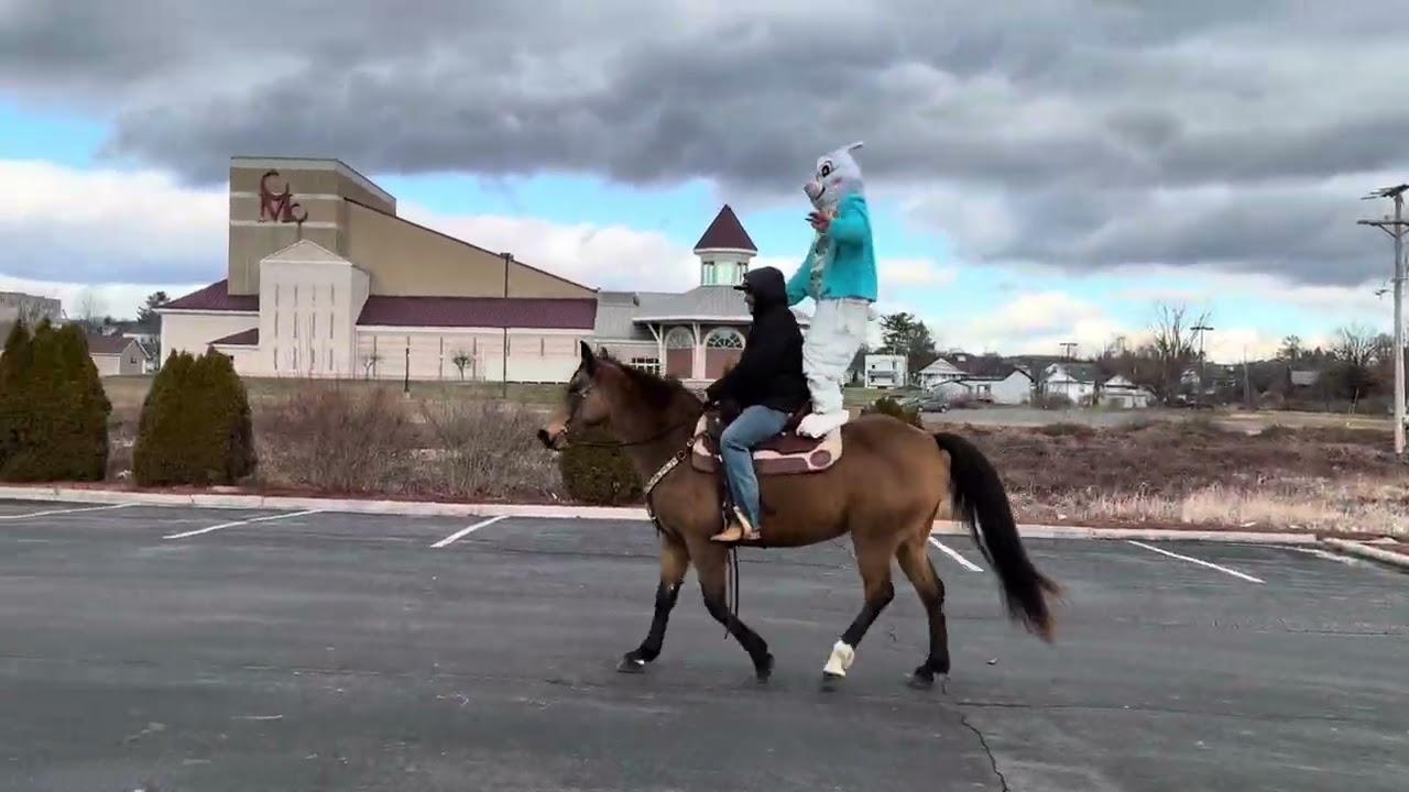 Mercedes Ky Mtn Mare