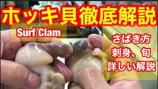 ホッキ貝 さばき方 ホッキ貝徹底解説 旬 目利き さばき方 刺身 名前由来 漁法 産地 寿命など Youtube ホッキ貝 さばき方 ホッキ貝徹底解説 旬 目利き さばき方 刺身 名前由来 漁法 産地 寿命など Youtube