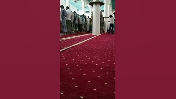 سورة الفاتحة .. من صلاة التراويح 🤲