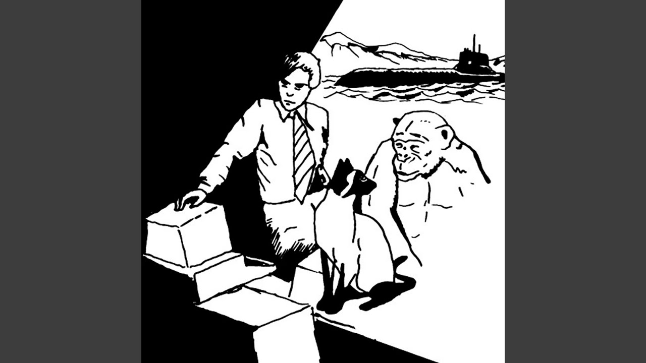 Albert Helpt Met Inpakken