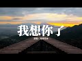 海來阿木 我想你了 我多想要再見你一面 哪怕只是匆匆的一眼 人生短暫一個人就足夠此生想念 我想你了 動態歌詞MV 