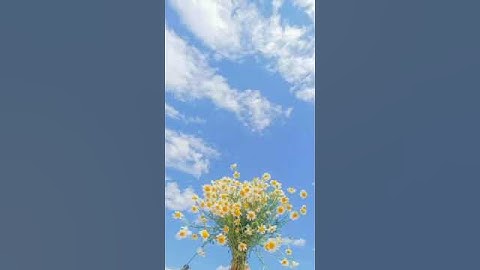 Surah An-Namal Full ||By Omar Hisham Al arabi With Arabic Text (HD)|سورة النمل|💝💝💝💝💝💝💝💝💝💝💝💝💝💝💝