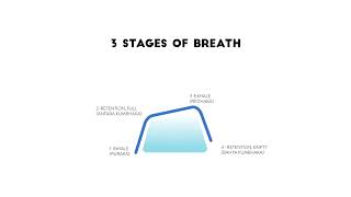 Pranayama Breathing Techniques | Animated Infographic