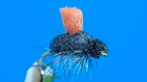 Micro Beetle - Fly tying lesson video tutorial by Curtis Fry