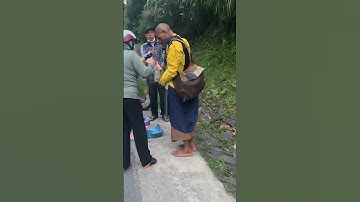 Quý sư thầy đi khất thực vào buổi sáng #suminhtue #thayminhtue #shorts